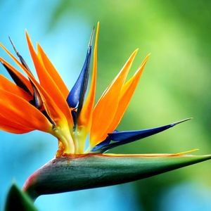 Meet your Posher, Dylan